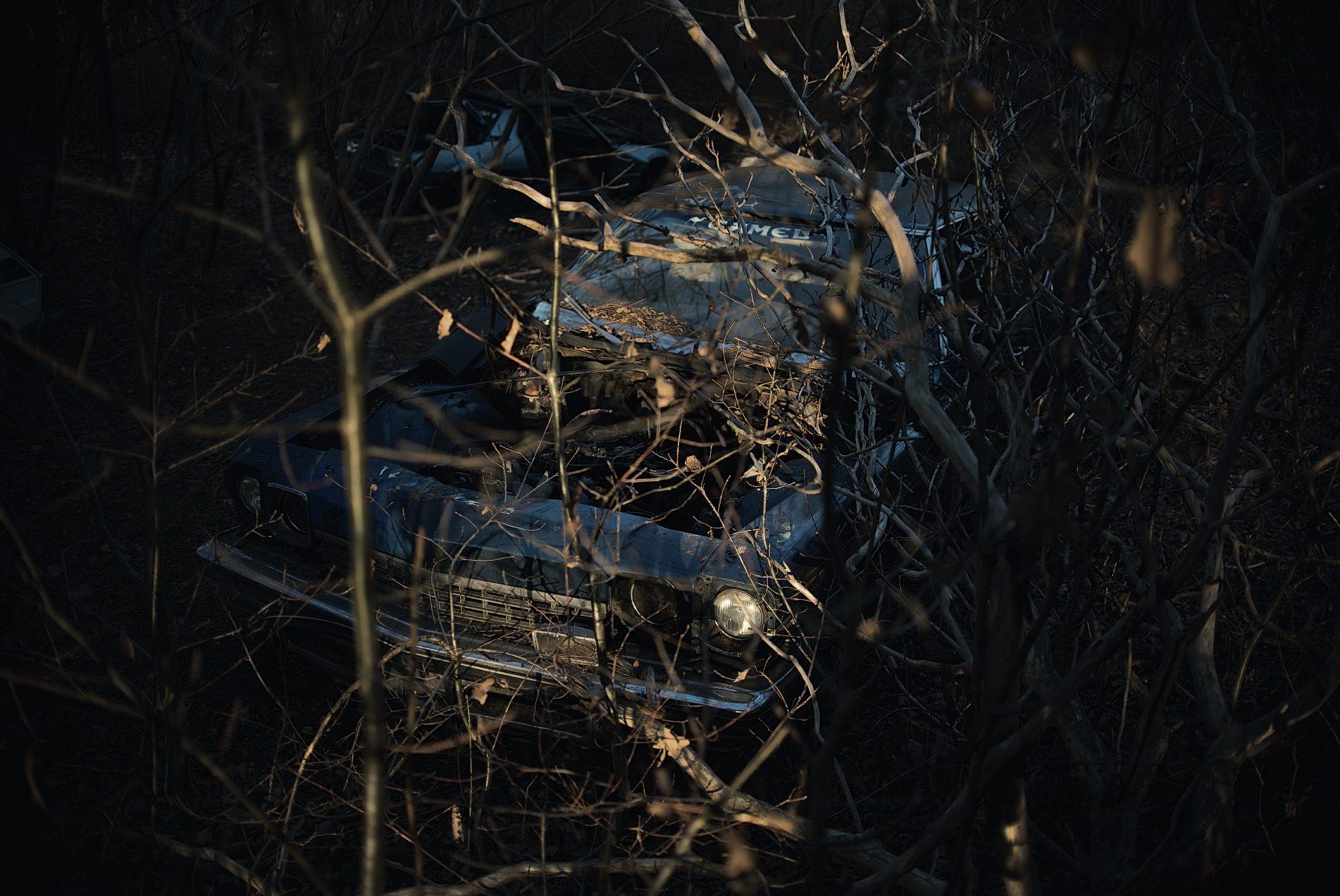 cmentarzysko_samochodów “Zamknięte” / Tomasz Gotfryd