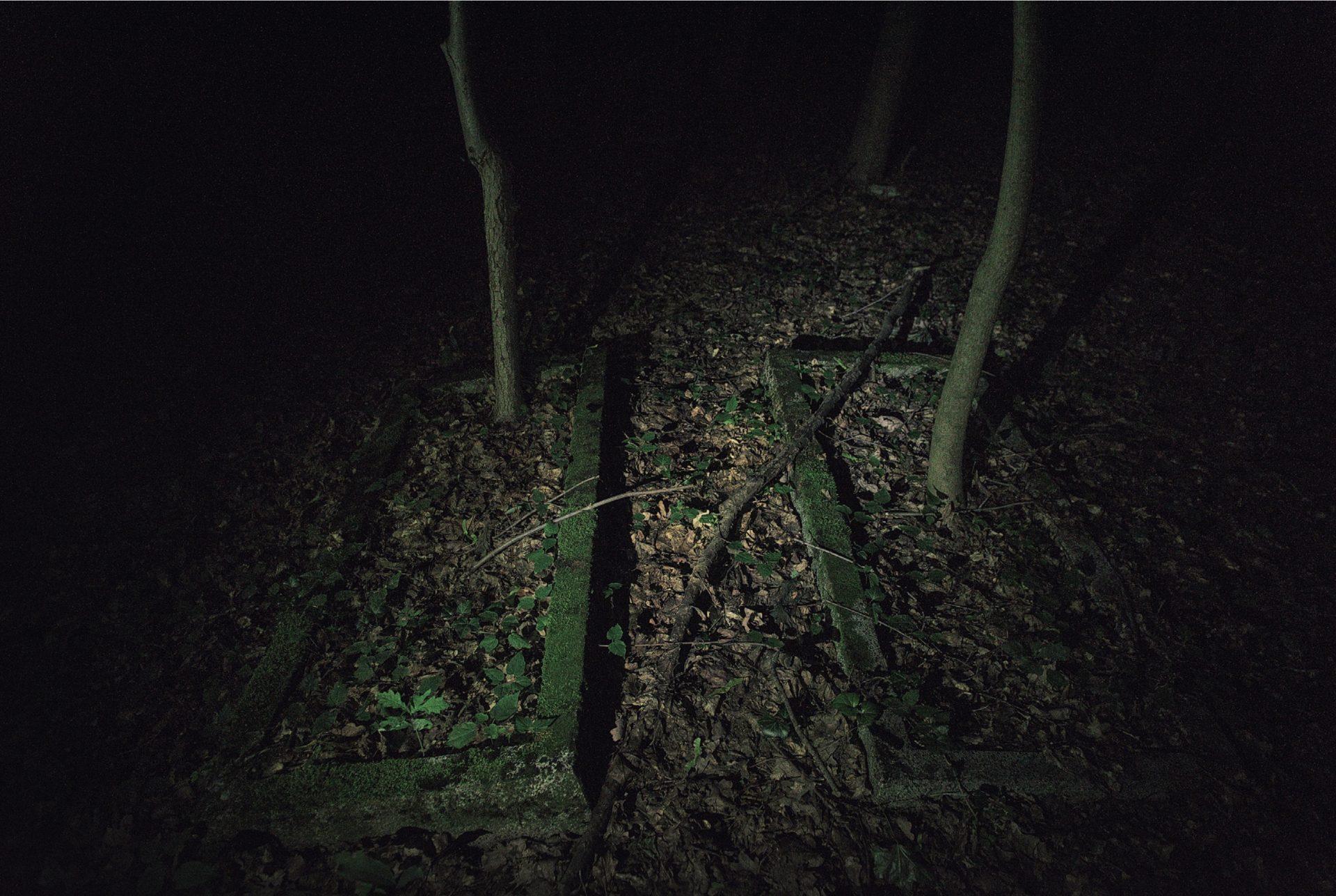 groby_niemieckie “Zamknięte” / Tomasz Gotfryd