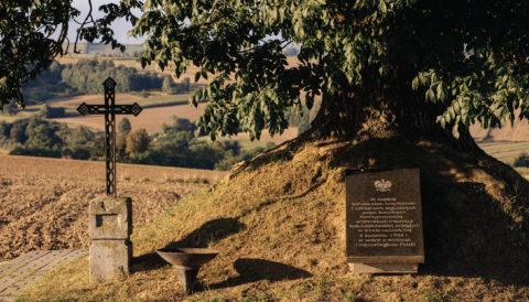Widok z Zamczyska. Jedna ze zbiorowych mogił w Dziemięrzycach, z widokiem na pole bitwy.