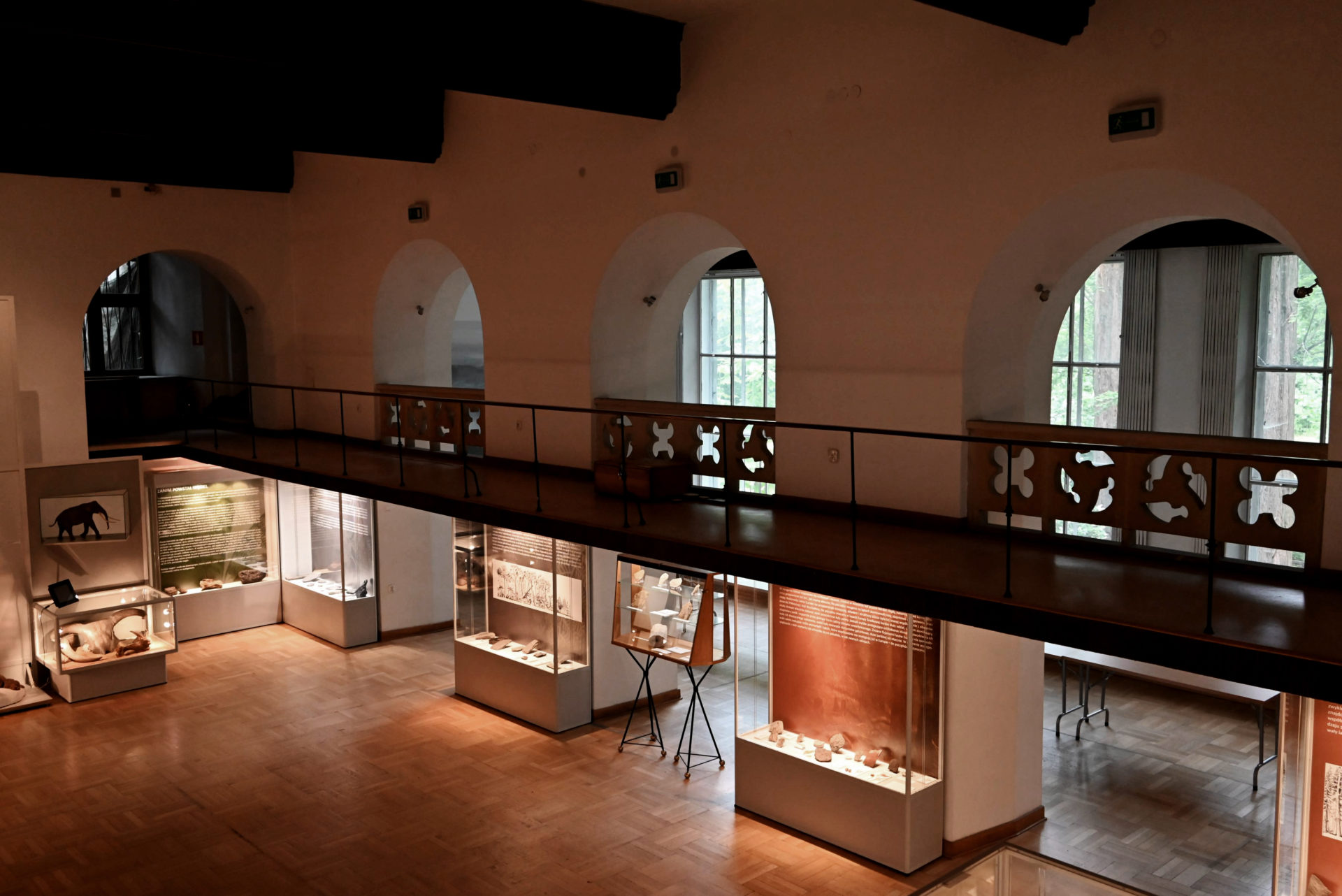 Muzeum Ziemi ekspozycja w Muzeum Ziemi