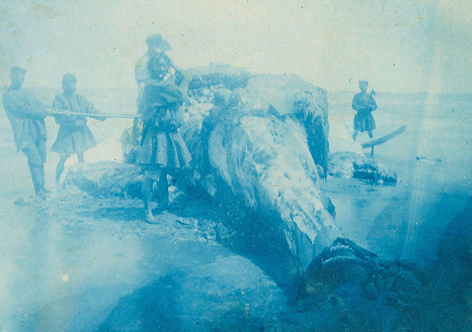 Odyseja Bronisława Piłsudskiego