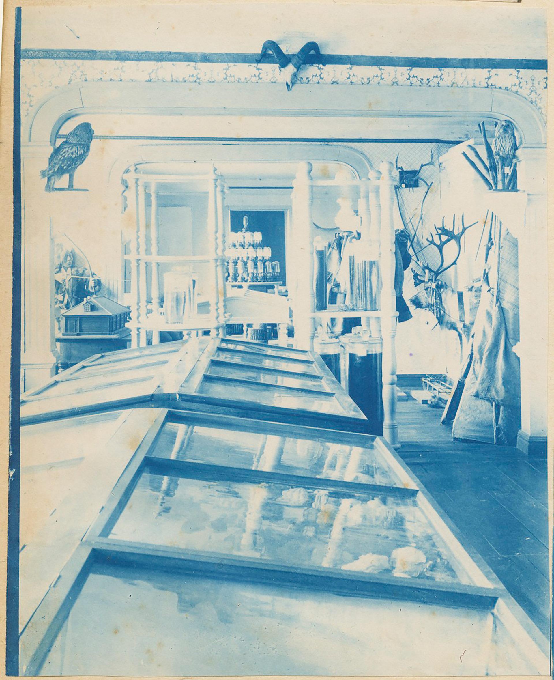 Odyseja Bronisława Piłsudskiego