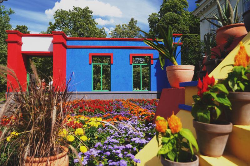 Kolorowe kwiaty oraz ściana.