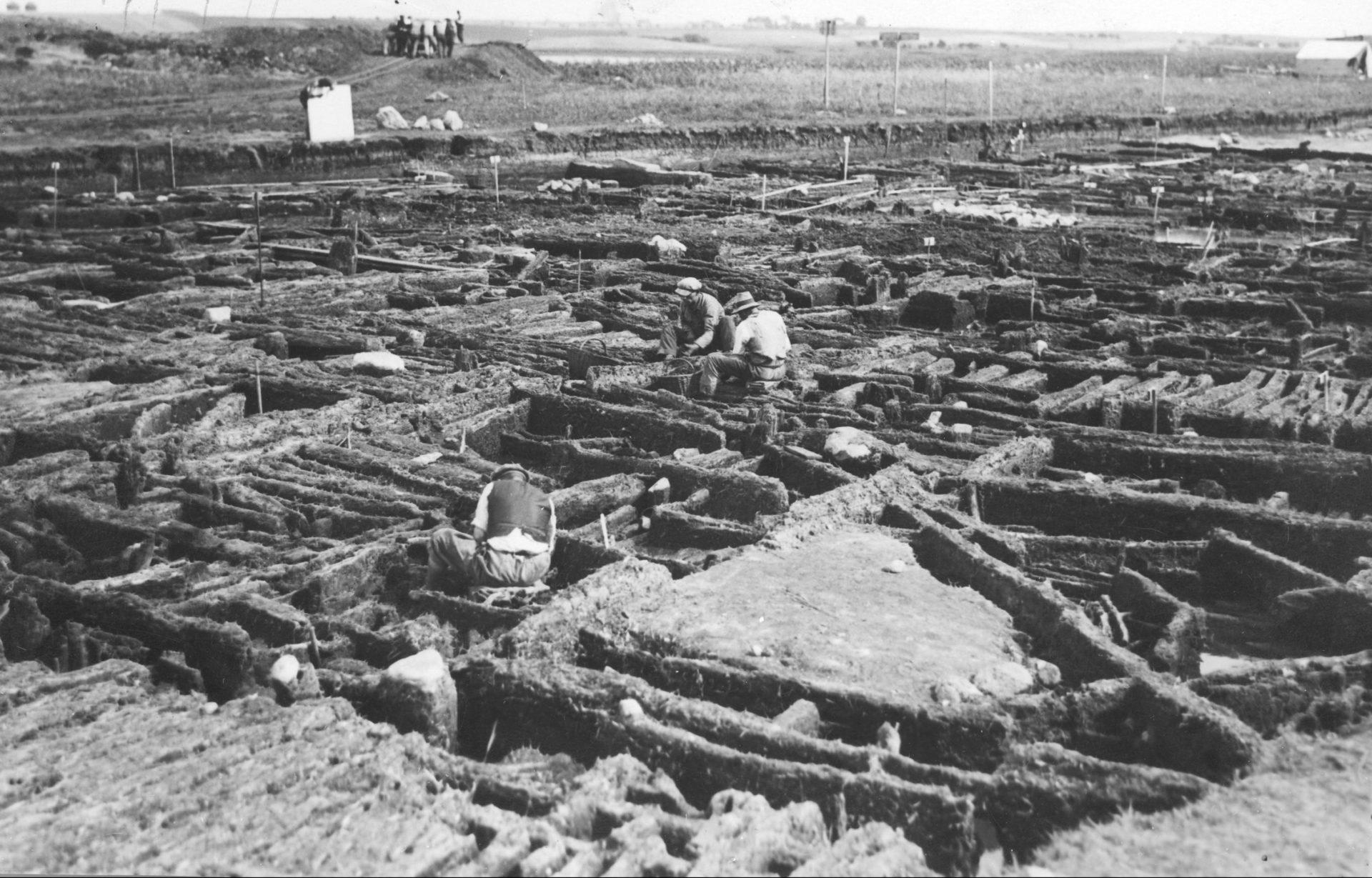 Widok ogólny terenu wykopalisk w Biskupinie. Biskupin – rezerwat archeologiczny