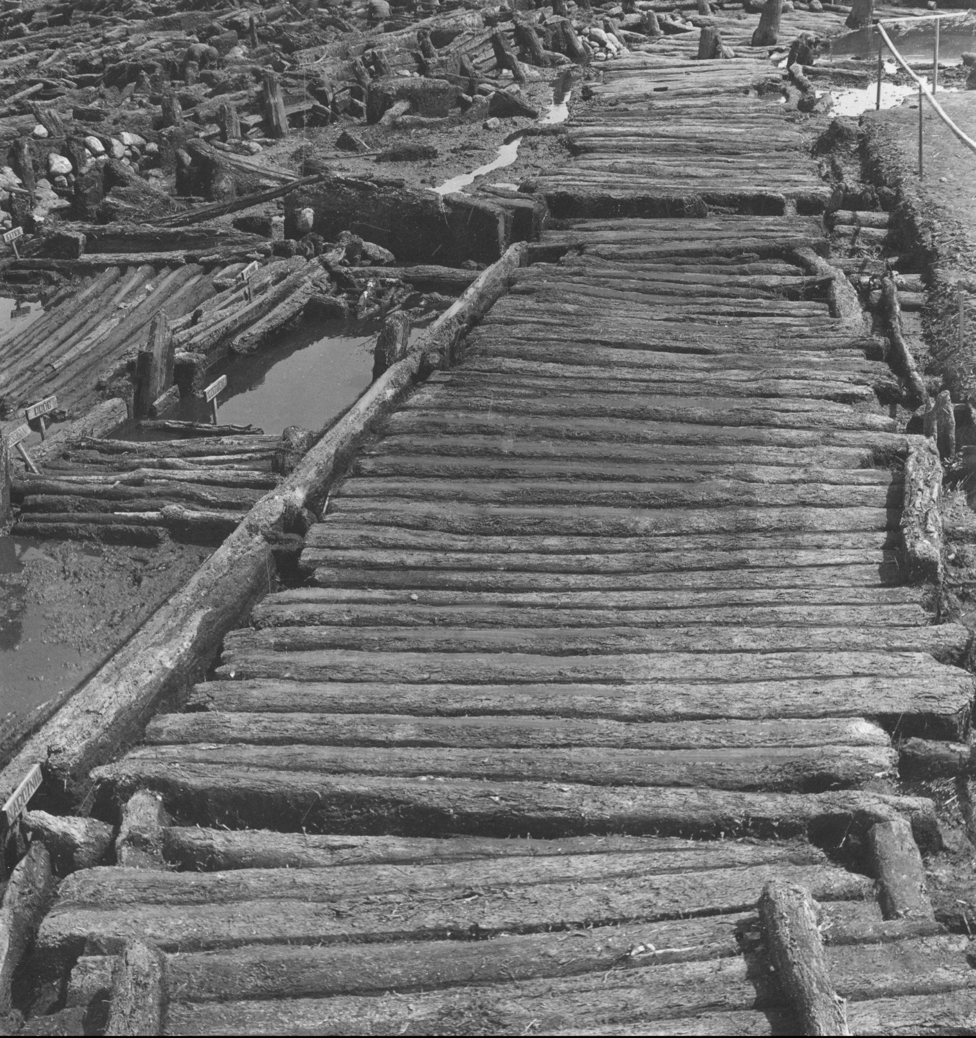 Ulica okrężna osady bagiennej. Biskupin – rezerwat archeologiczny