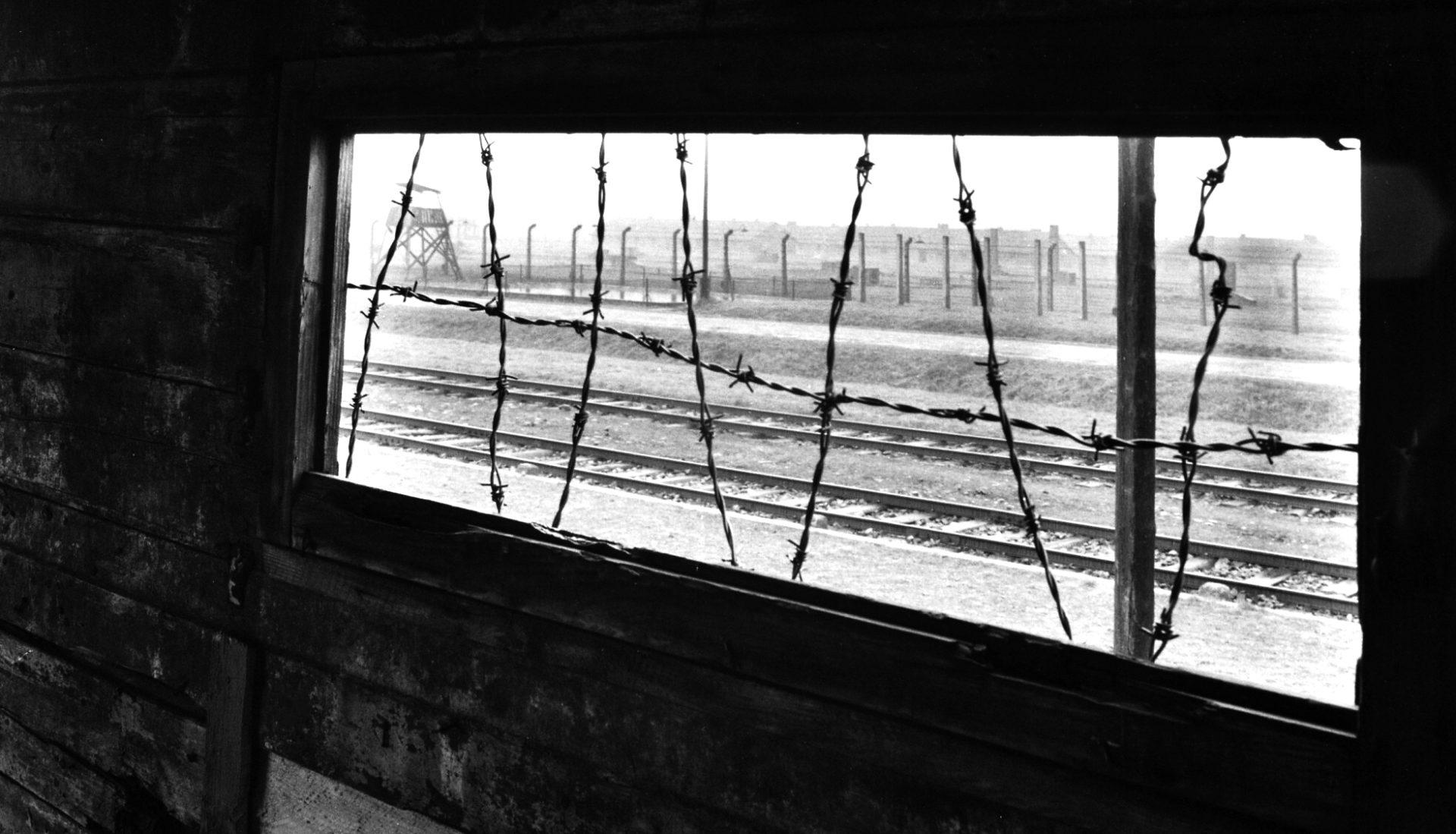 Auschwitz-Birkenau WMZ Wagon towarowy, Brzezinka, 1987 r. Fot. Wiesław M. Zieliński / East News