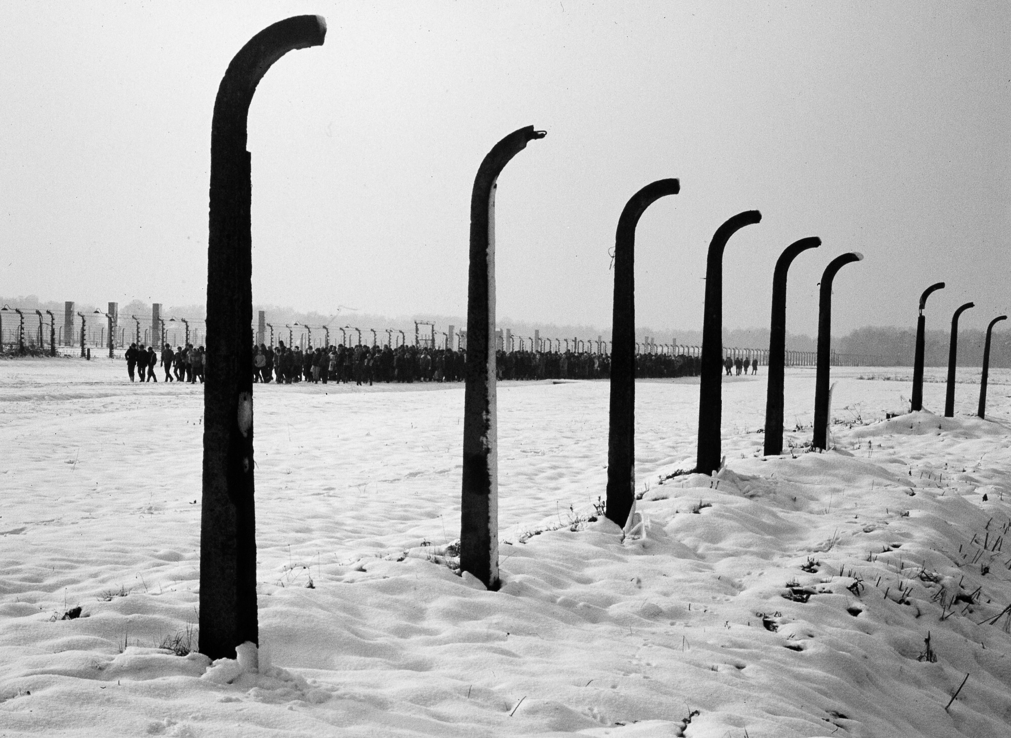 Auschwitz-Birkenau. Niemiecki nazistowski obóz koncentracyjny i zagłady (1940-1945)