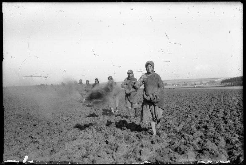 Wysiew, lata 30.