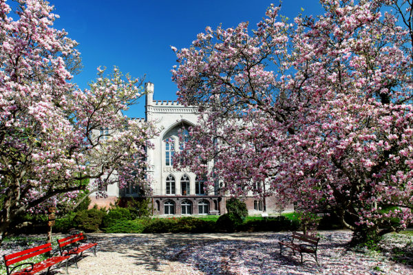 Kórnik - zespół zamkowo-parkowy, południowa elewacja zamku. Fot. dzięki uprzejmości PAN Biblioteka Kórnicka