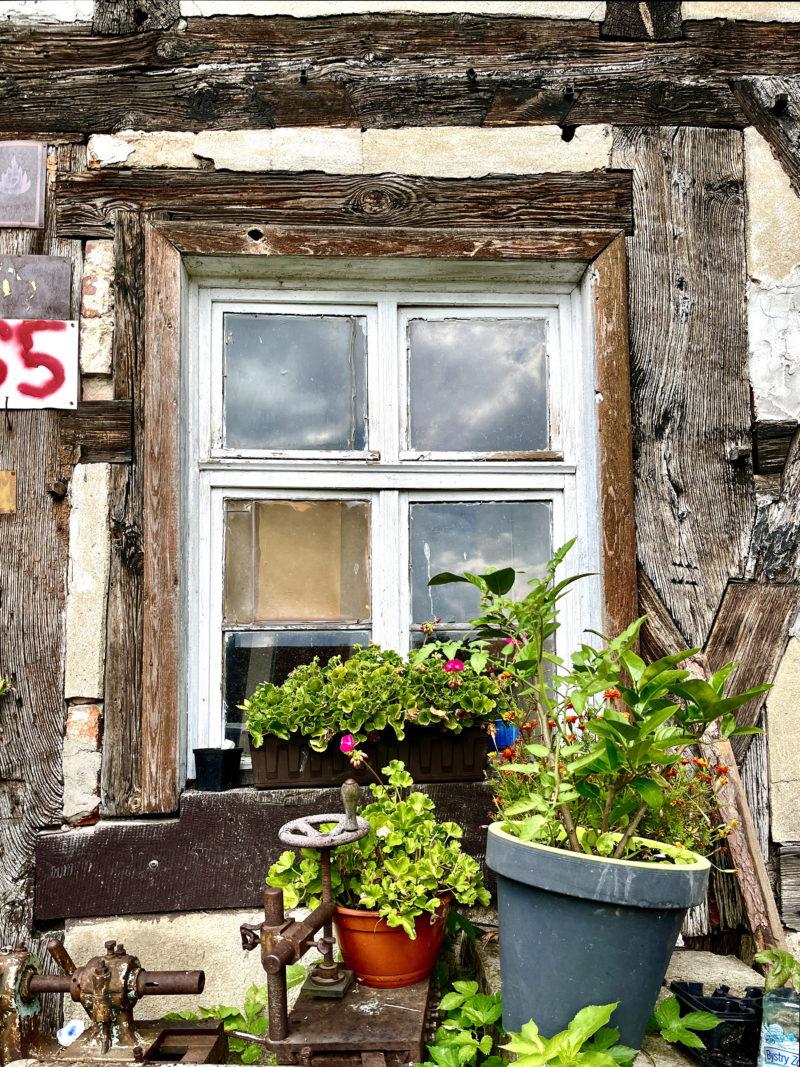 Dwór ryglowy w Sieniawce, 2023 r.