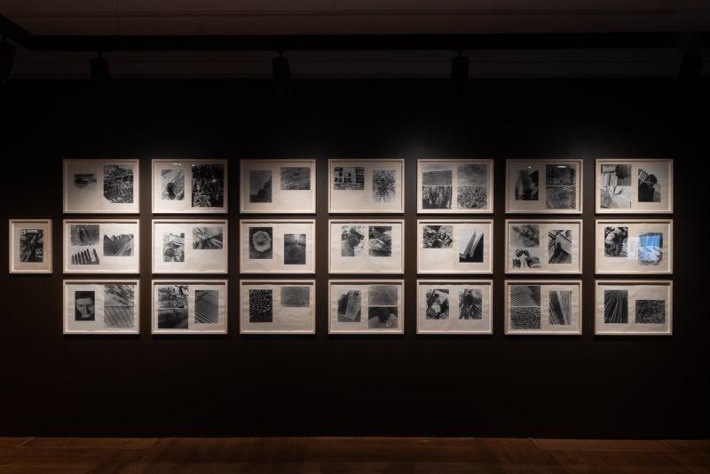 "Moi Ver", widok wystawy.