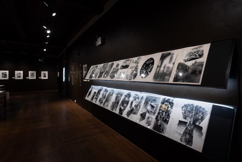 "Moi Ver", widok wystawy.