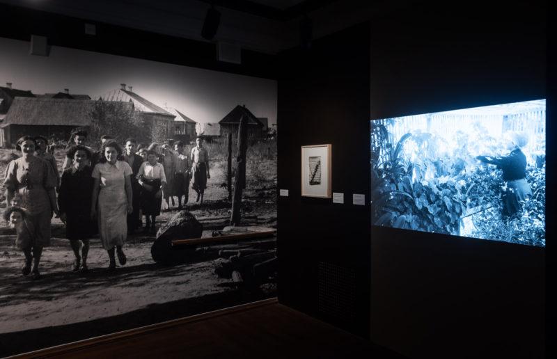 "Moi Ver", widok wystawy.