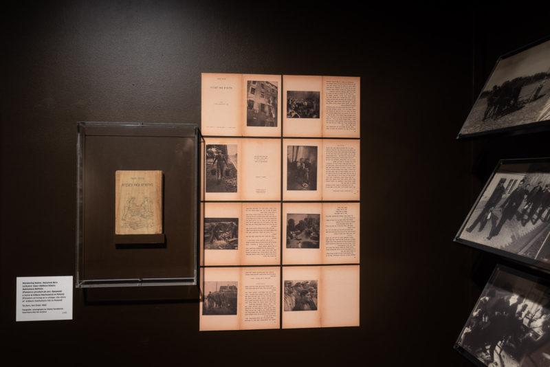 "Moi Ver", widok wystawy.