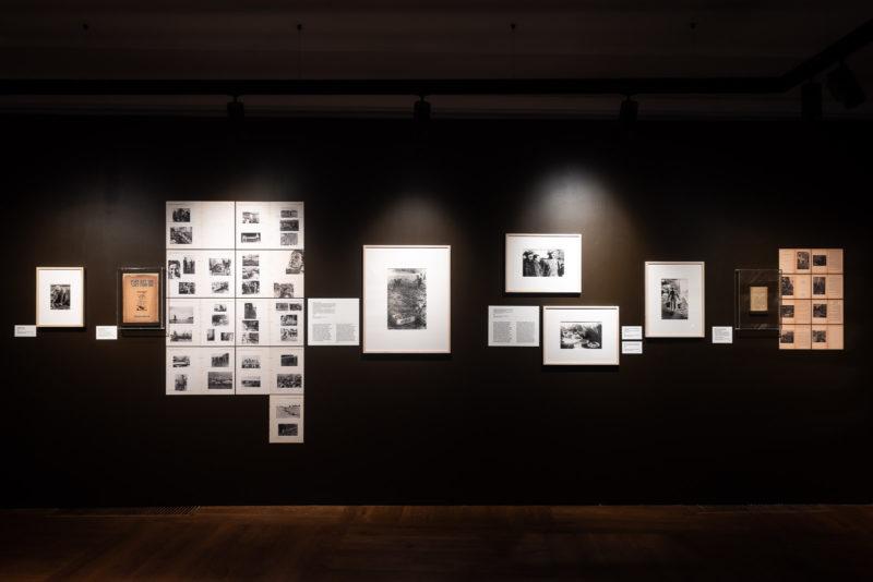 "Moi Ver", widok wystawy.