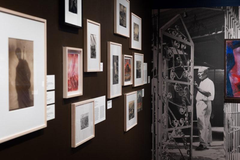 "Moi Ver", widok wystawy.