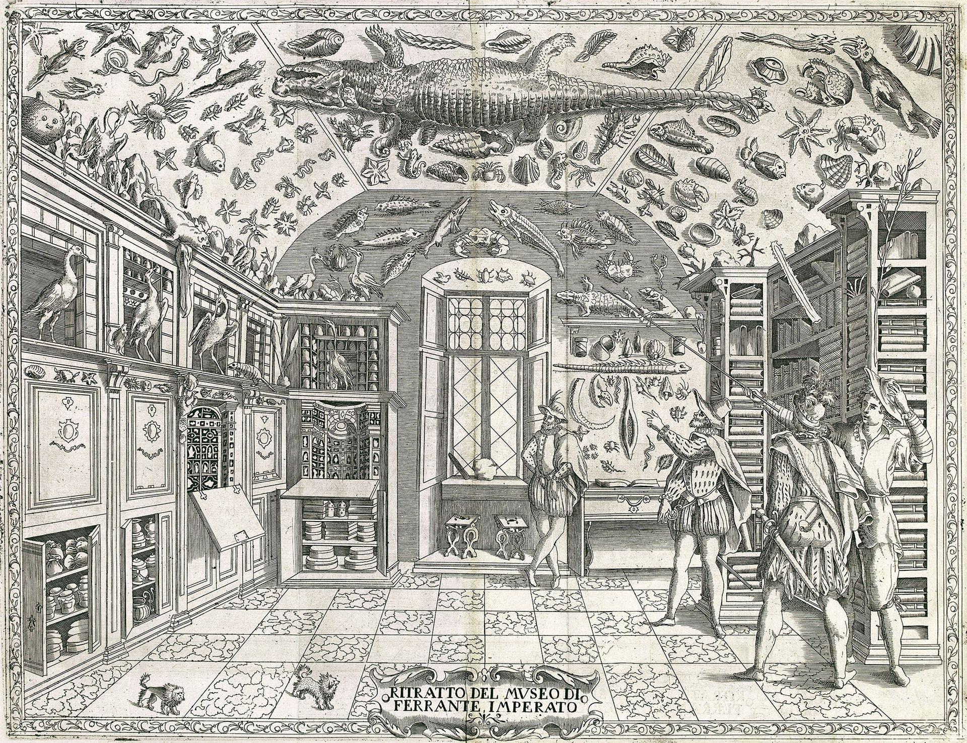 Kamiennogórska kunstkamera