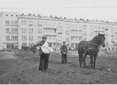 Kaszuby to historia, o której się milczy