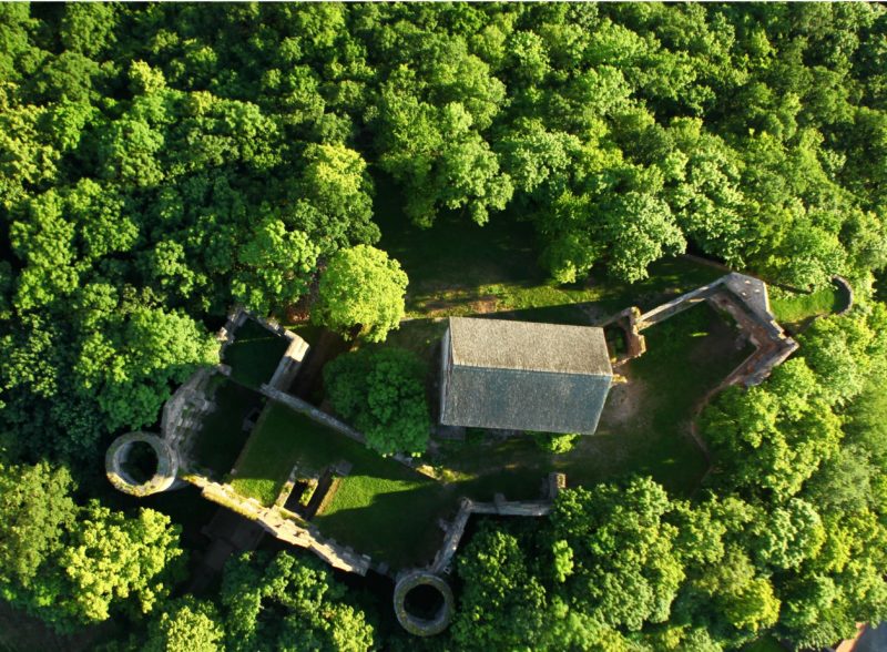 Perły przed Świny