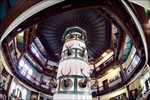 Tętent Antonina, czyli pałac wart opery