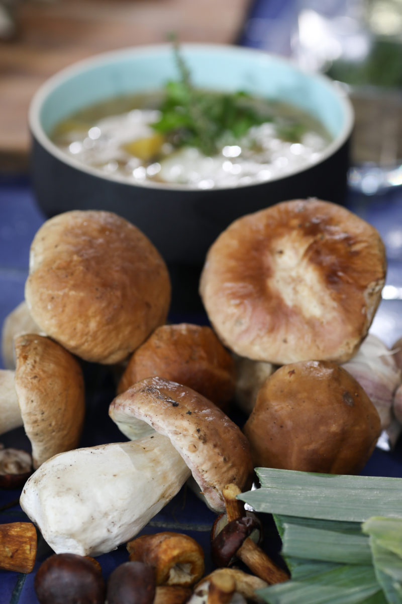 Nagranie programu Pytanie na Sniadanie Kutia i kebab