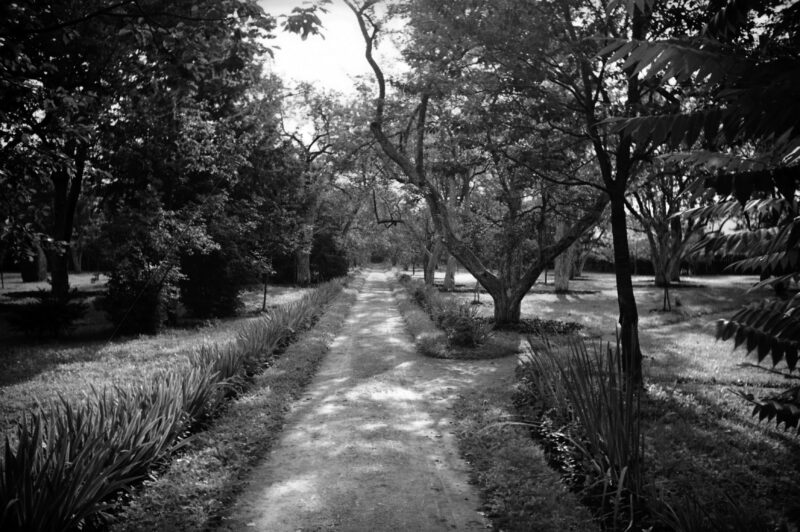 Kos&oacute;w. Droga dojazdowa do lecznicy