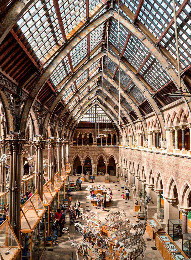 Muzeum stworzone z opowieści