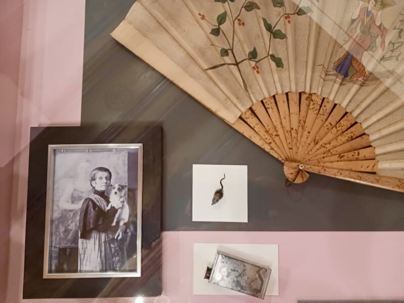 Wystawa „Siłaczki” w Kamienicy Hipolitów, oddziale Muzeum Krakowa Pamiętajmy o Halickiej