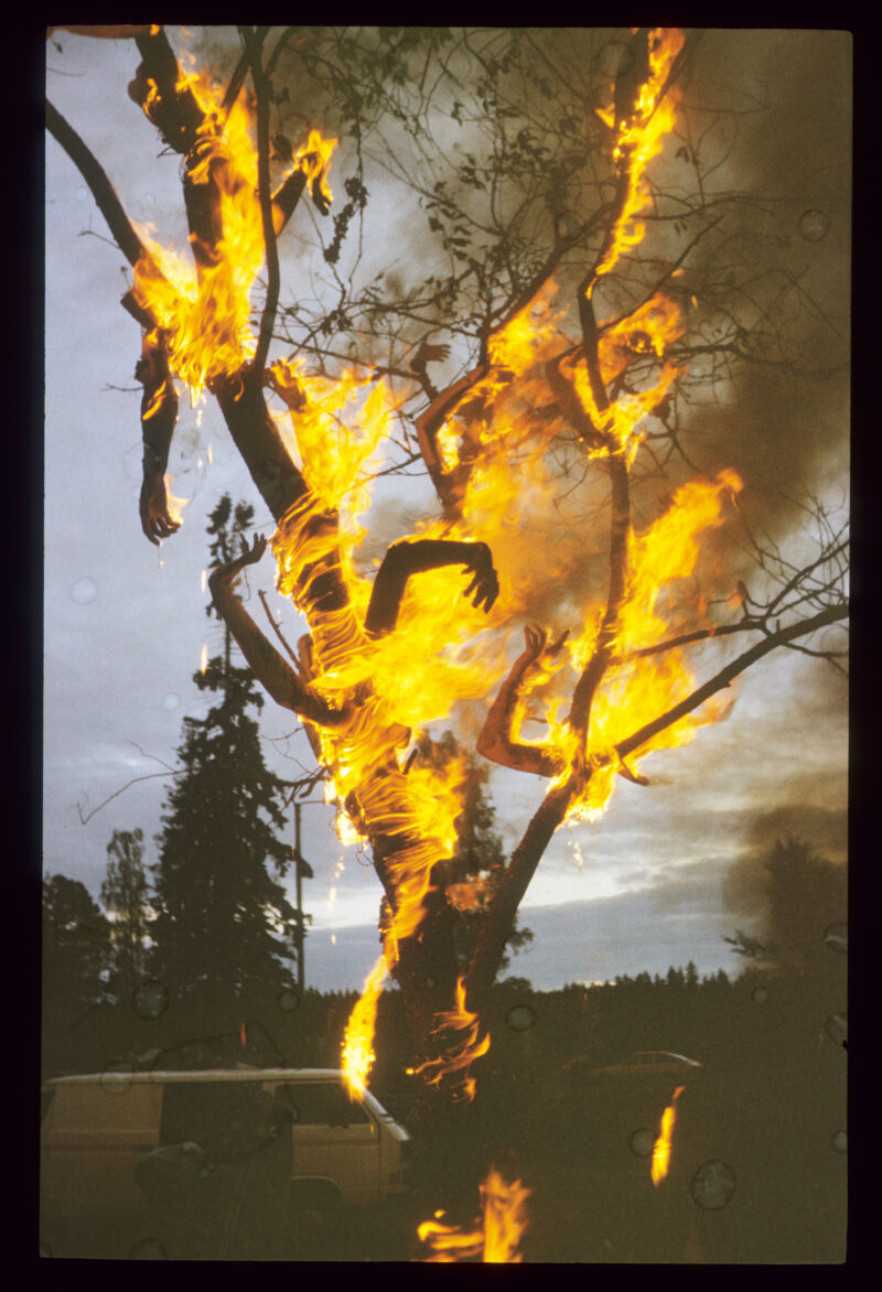 Władysław Hasior, „Notatnik fotograficzny”, z lat 1965–1998, z serii „Płonące drzewo”.