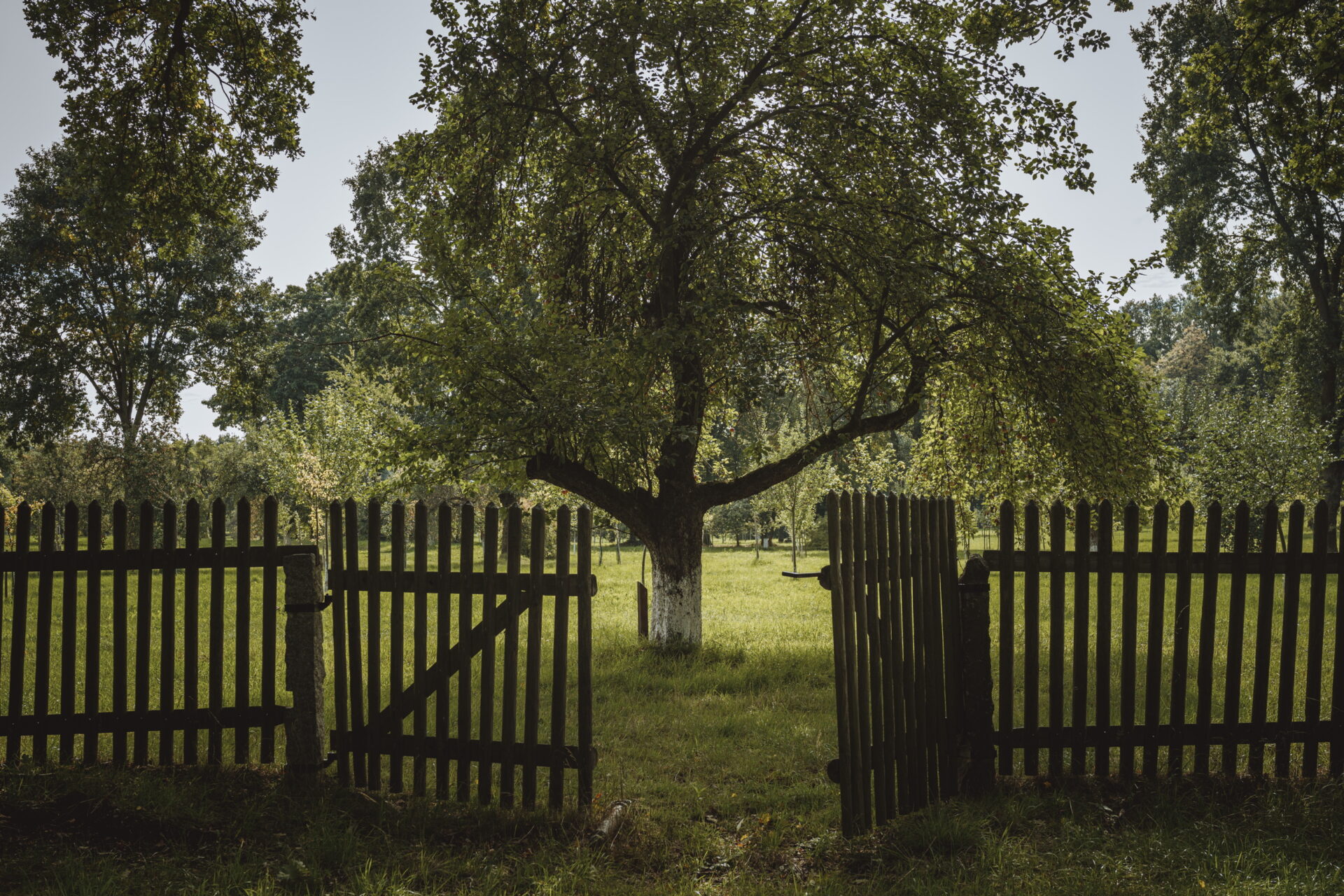 Park Mużakowski Dziewczyna bez imienia