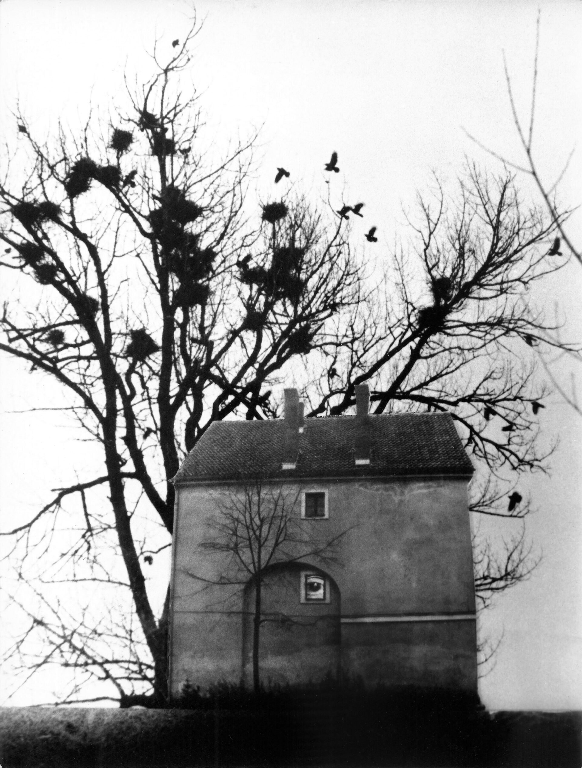 Zofia Rydet, z cyklu Swiat uczuc i wyobrazni – Obsesje, 1968-1975, , z archiwum Fundacji im. Zofii Rydet W cieniu surrealistycznego snu. Zofia Rydet w MuFo