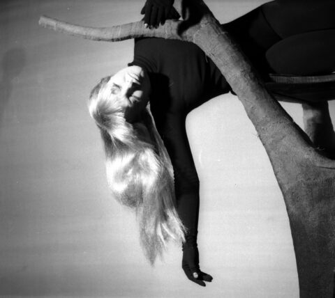 Gdzie ukrył się Szajna?