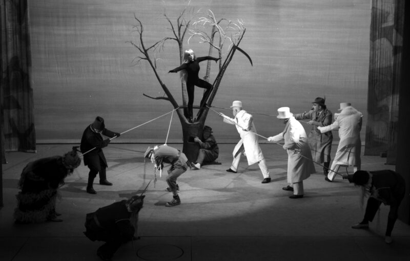 Gdzie ukrył się Szajna?