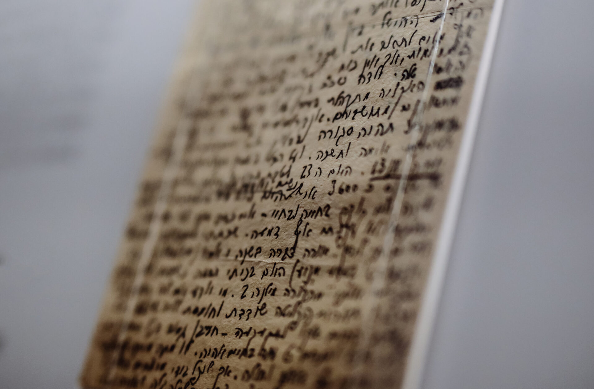 A42B8897 Nie znam swojego losu, ale pamiętajcie, jak się nazywam. Archiwum Ringelbluma