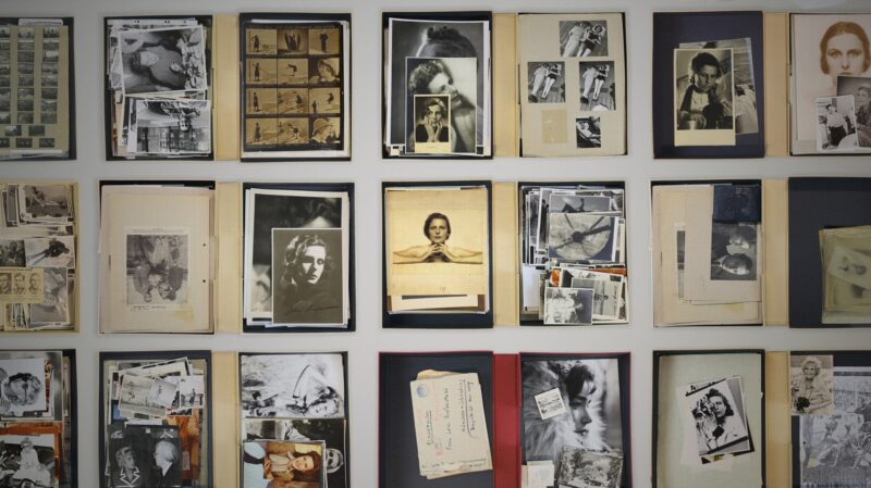 ewferferfewrf Piękno w służbie zbrodni