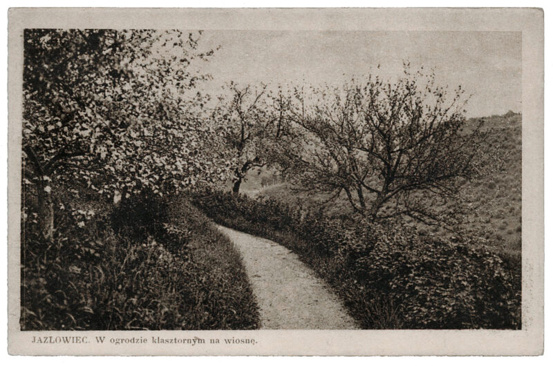 Jazłowiec, w ogrodzie klasztornym na wiosnę. copy__OBR Jazłowiec, ogród klasztorny wiosną, po 1939 r.