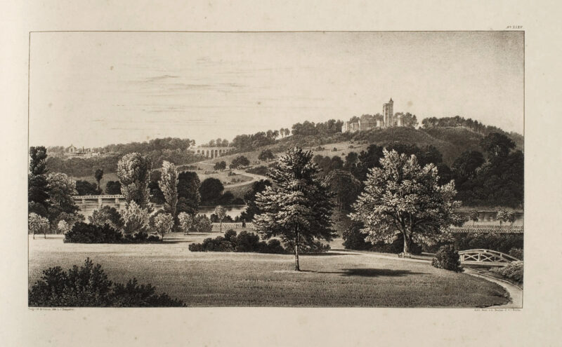 Grafiki dołączone do &bdquo;Andeutungen &uuml;ber Landschaftsg&auml;rtnerei, verbunden mit der Beschreibung ihrer praktischen Anwendung in Muskau&rdquo; autorstwa Hermanna von P&uuml;ckler-Muskau (wydanie Stuttgart 1834)