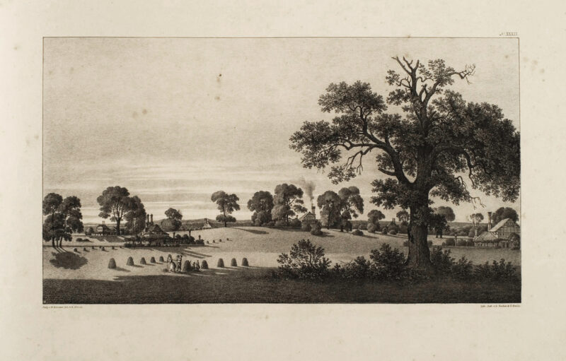 Grafiki dołączone do &bdquo;Andeutungen &uuml;ber Landschaftsg&auml;rtnerei, verbunden mit der Beschreibung ihrer praktischen Anwendung in Muskau&rdquo; autorstwa Hermanna von P&uuml;ckler-Muskau (wydanie Stuttgart 1834)