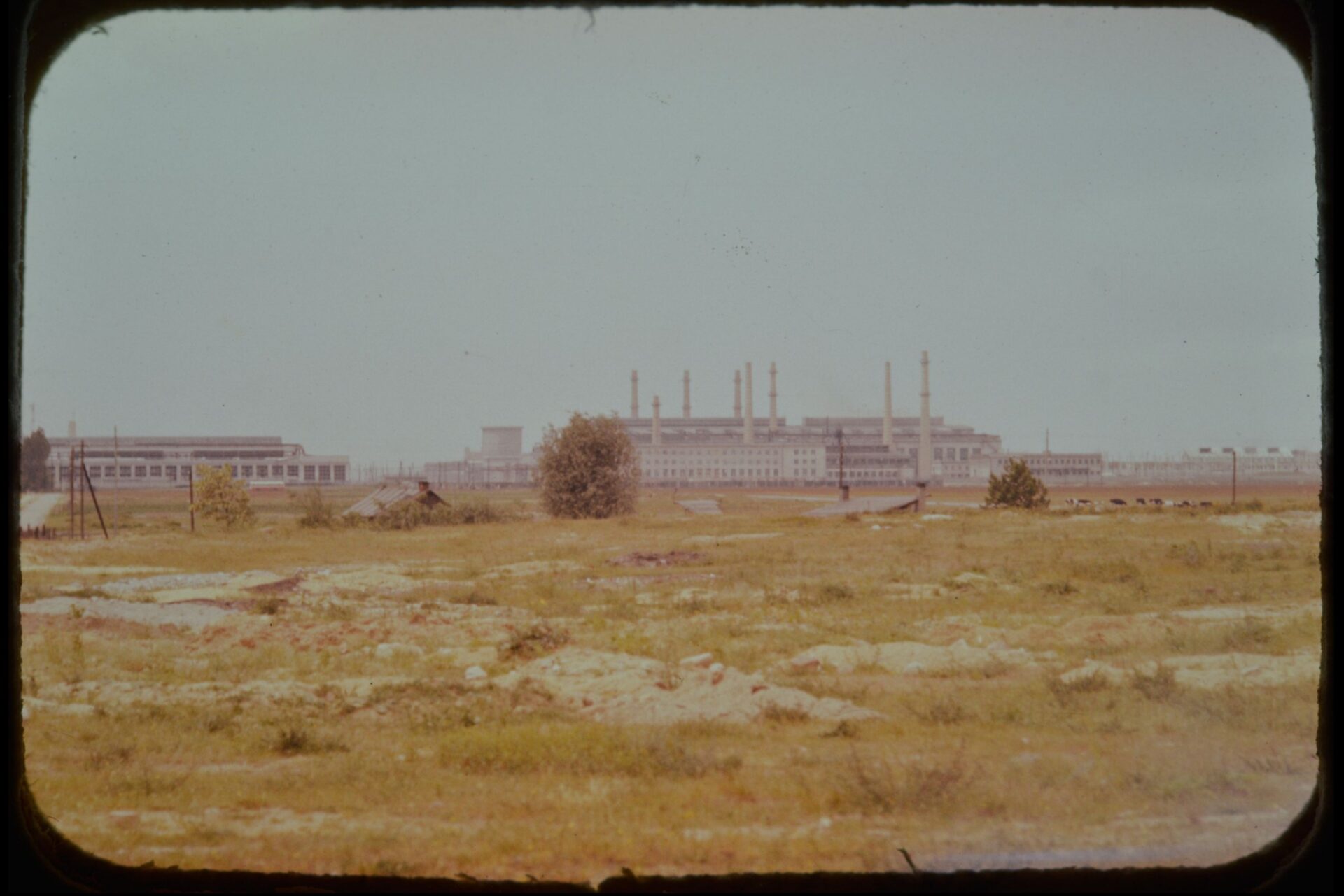 Amerykanin w Warszawie