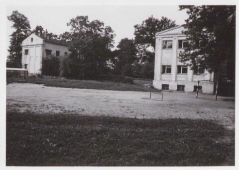 Pozostałości dworu w Dylewie