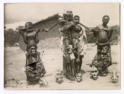 Chłopcy ze szkieletami małp człekokształtnych, Afryka, lata 30.–40. XX w.