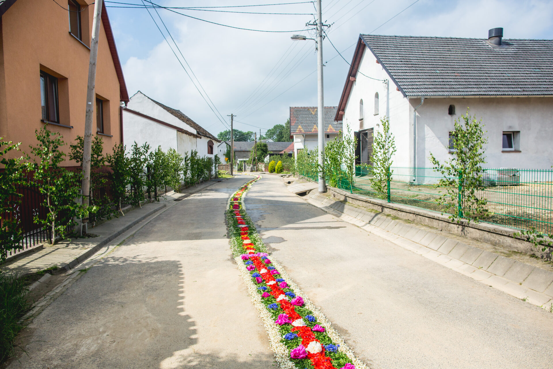 KLUCZ_56 Dywany z płatków wiary