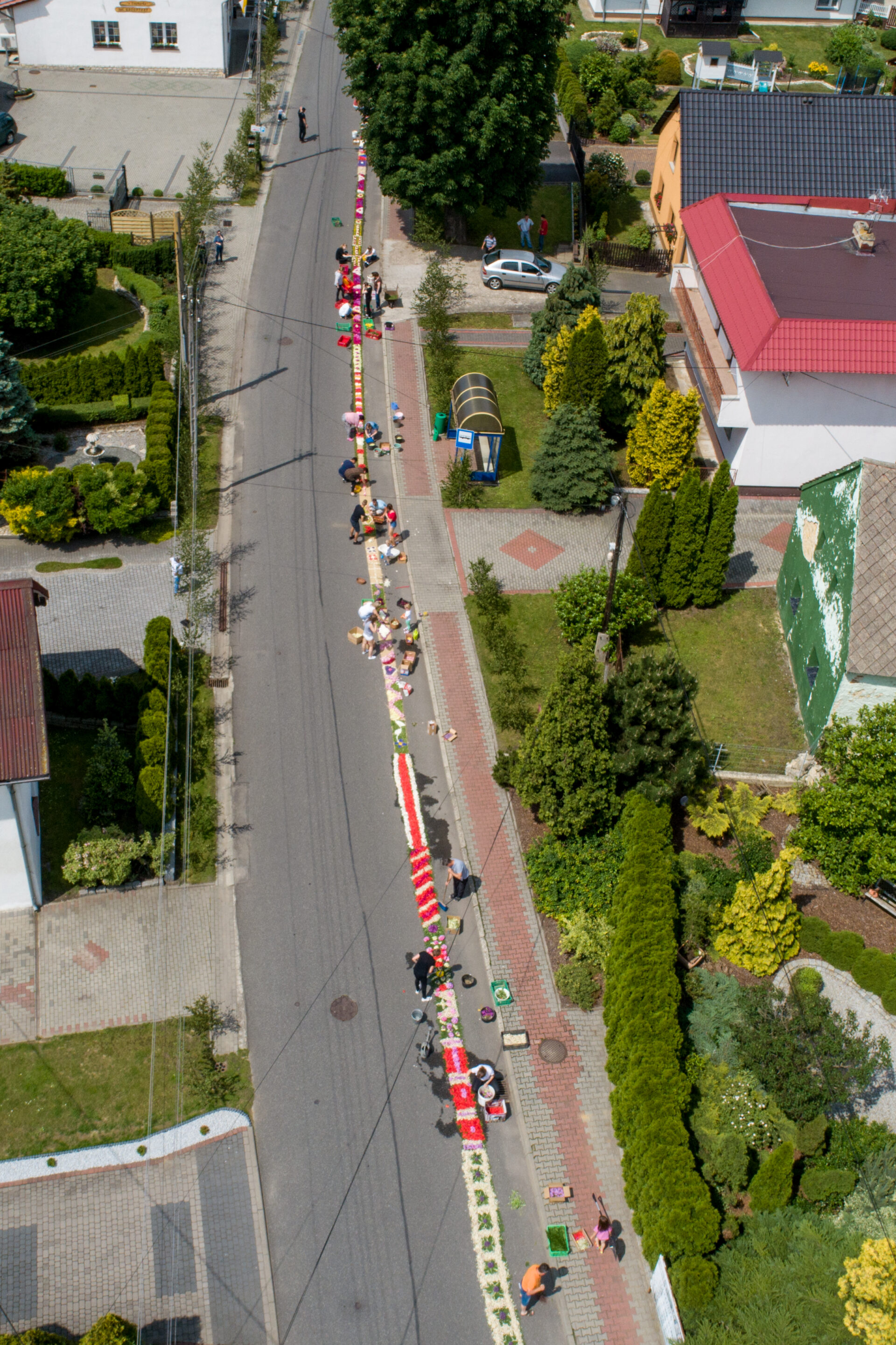 OLSZOWA_33 Dywany z płatków wiary