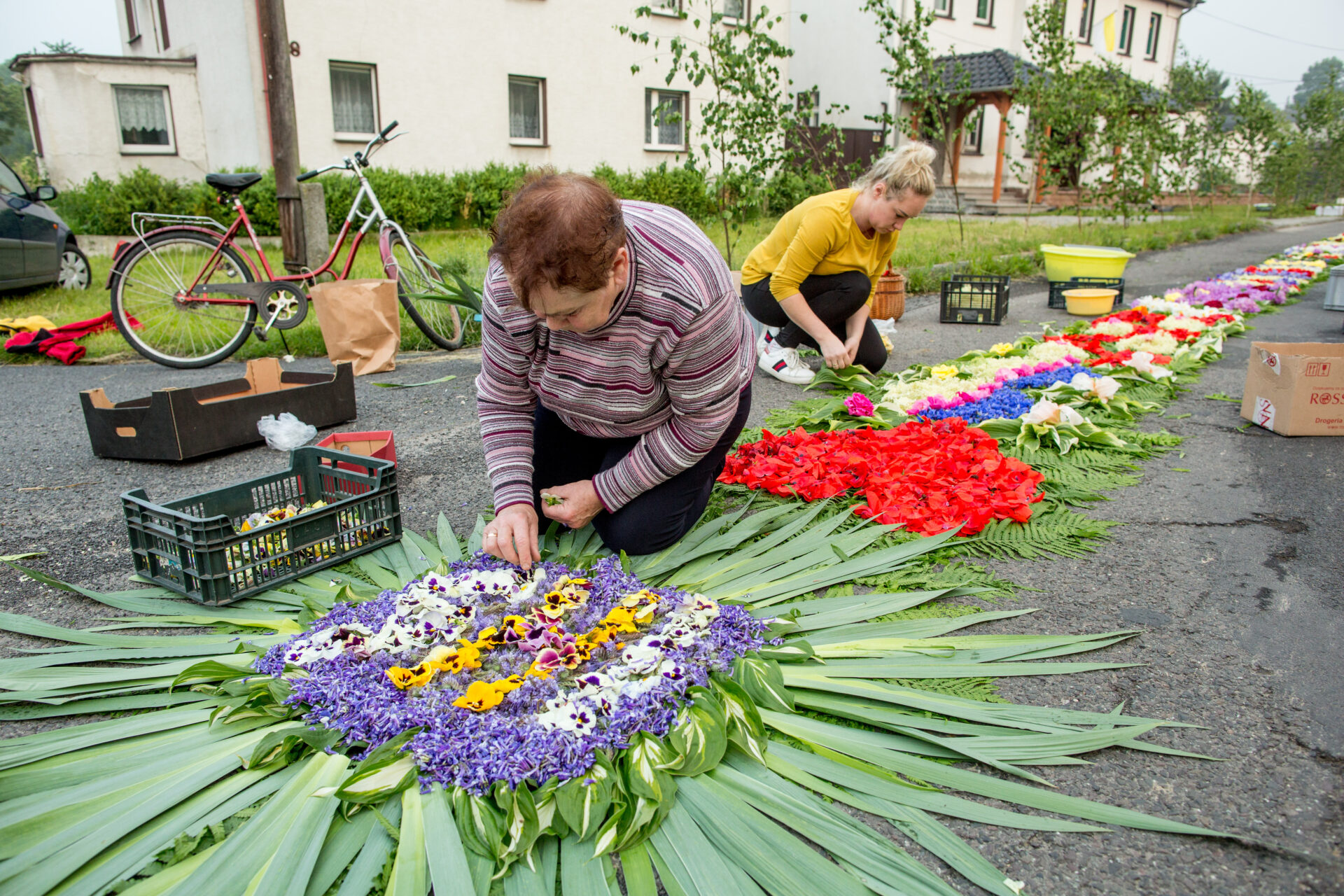 ZIMNA_WODKA_009 Dywany z płatków wiary