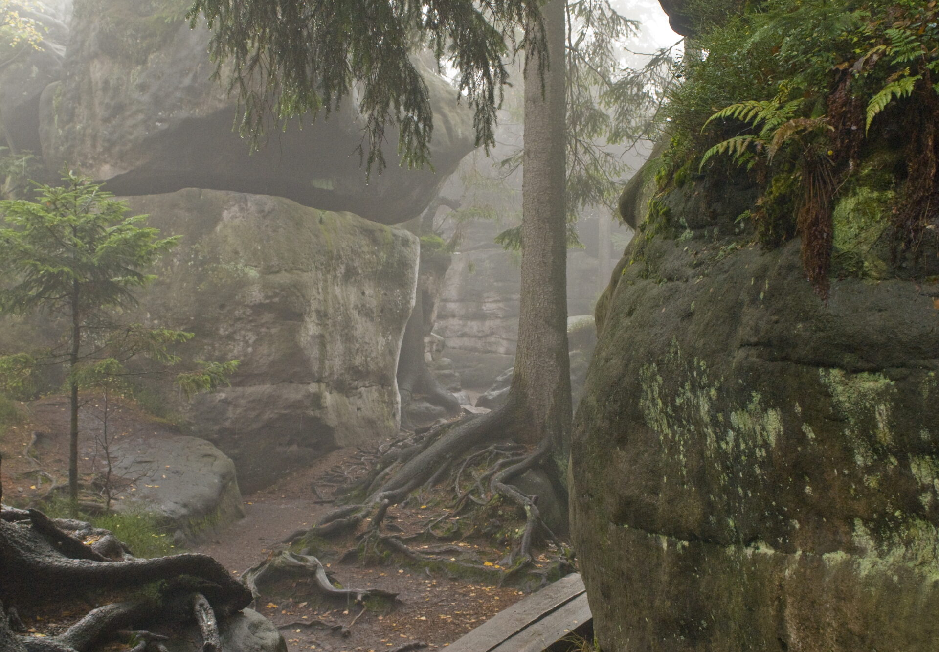 Kraj jak z bajki. Lub z horroru