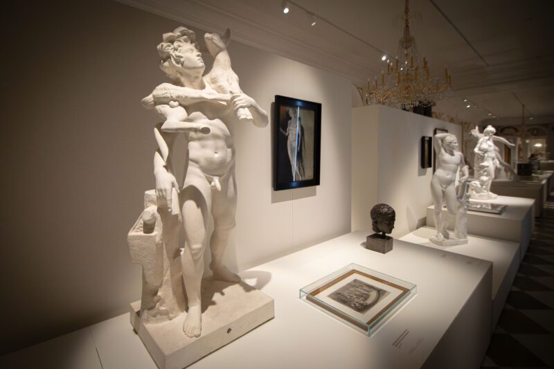 Wystawa "Anatomia antyku. Ciało i ruch w rzeźbie". 13 czerwca – 21 września 2025 r. Biblioteka Królewska, Zamek Królewski w Warszawie