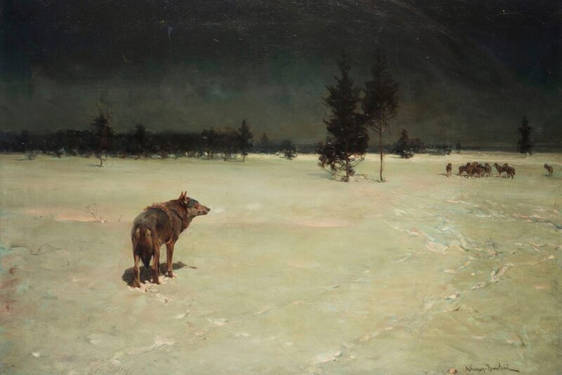 „W lutym na Litwie” z Muzeum Narodowego w Poznaniu, ok 1900 r. Obraz o tytule "W lutym na Litwie" z około 1900 roku. Na nim wilk oddzielony od watahy, stoi sam patrząc w dal z prawego profilu. Zimowy, nocny krajobraz, w tle po lewo las iglasty.