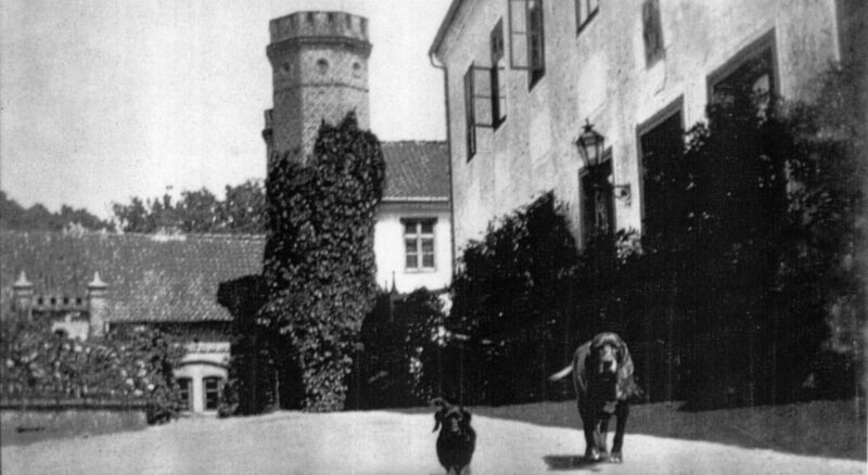 Spanie w zabytku &#8211; Galiny