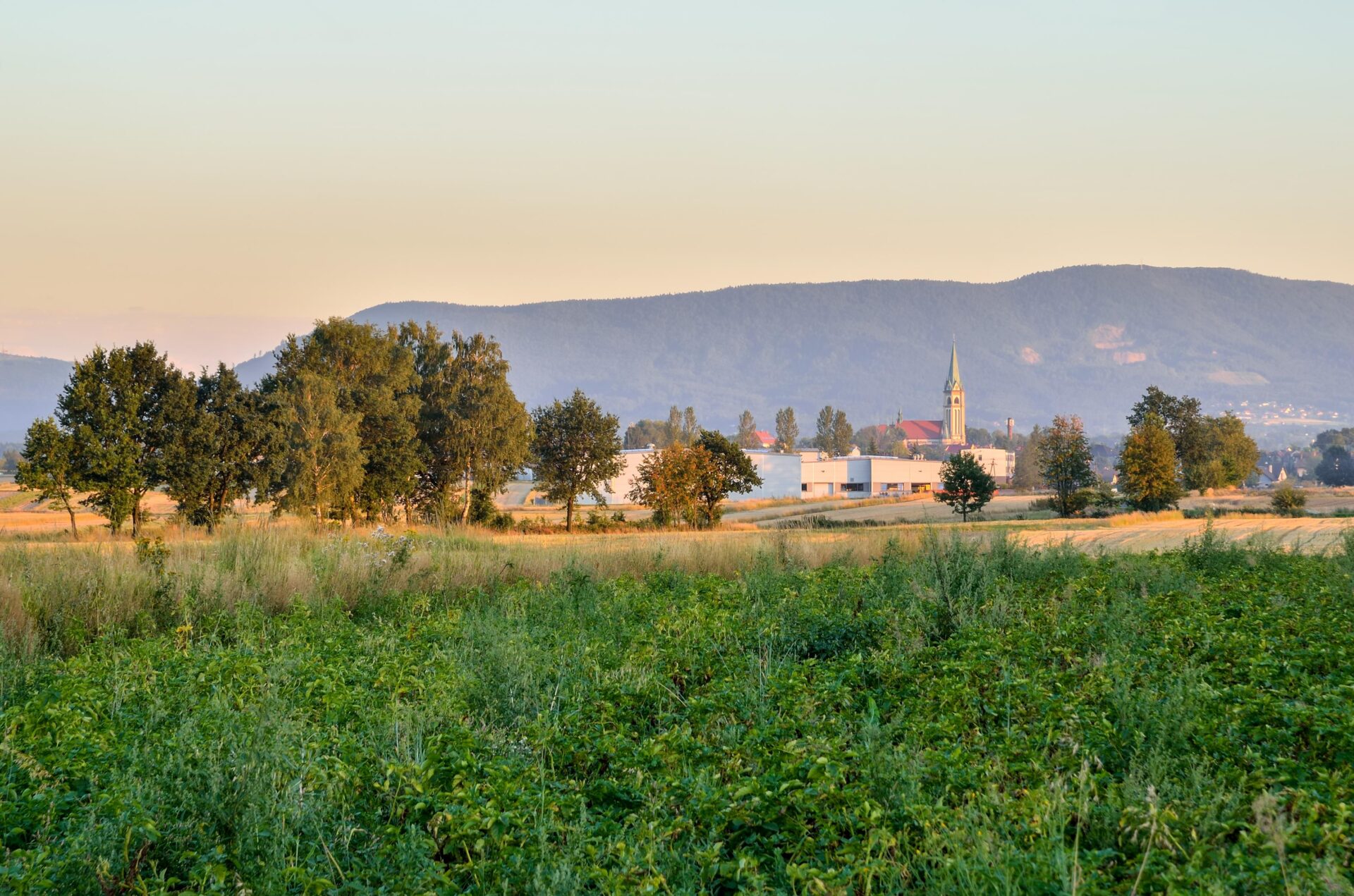 Summer rural landscape. Countryside in Poland against the background of beautiful hills. Nie ma języków lepszych i gorszych. Czyli o języku wilamowskim