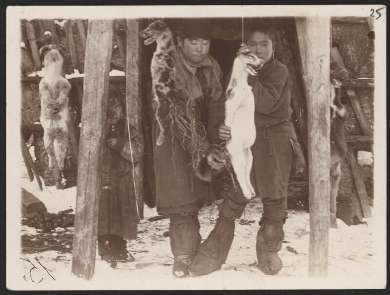 Chłopcy wieszający psy; to prawdopodobnie rytuał świąteczny, 1893–1918 r.